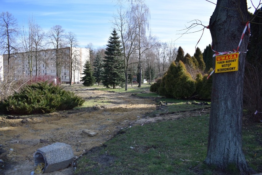 Wielkie porządki i wycinka w tzw. małpim gaju pod przyszły park Pokoju