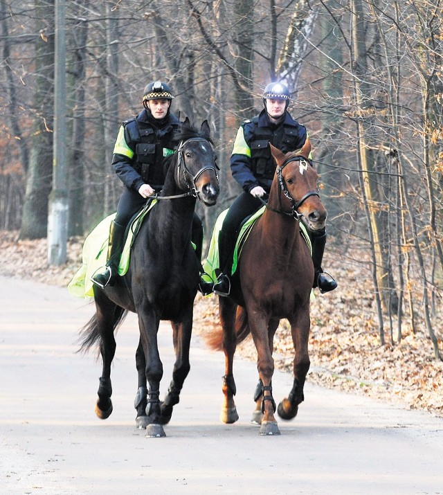 Tereny zielone strażnicy patrolują konno.