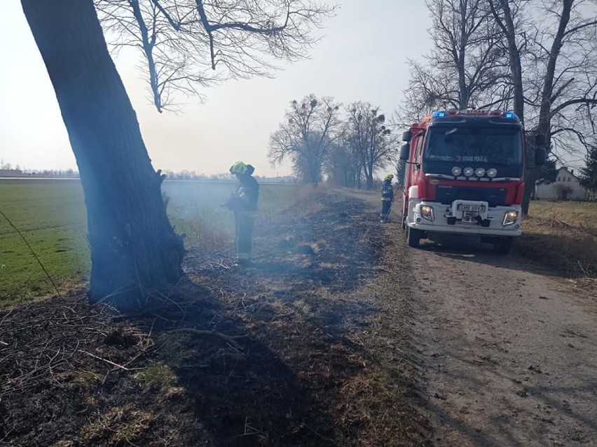 Powiat malborski. Już płoną trawy na potęgę, a w gminie Stare Pole paliło się też drzewo