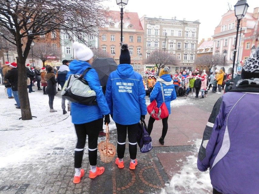 Wałbrzych: Miejska choinka błyszczy już setkami światełek