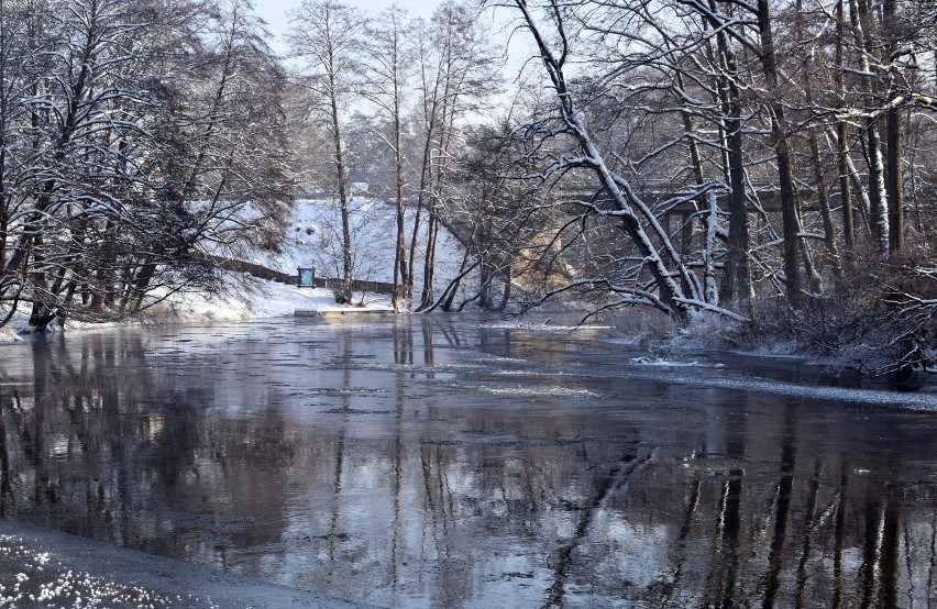Zimowe pejzaże w Woziwodzie w powiecie tucholskim [fotogaleria]