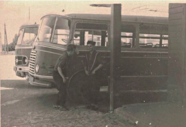 - Fotografia unikatowa, ponieważ żaden z autobusów produkowanych przez spółdzielnie ZPSMS w Koszalinie 
nie przetrwał do dzisiaj. W tle za "Bałtykiem"
należącym do "Autonaprawy" widoczny
San H01 z Kraśnickiego PKS-u. Fotografie wykonano w latach 60-tych na dworcu PKS w Biłgoraju - mówi Maksym Bratko.

Źródło : Książka "Historia Komunikacji
Publicznej w Kraśniku i Powiecie Kraśnickim 1914-2018", M.Bratko, Kraśnik 2018.