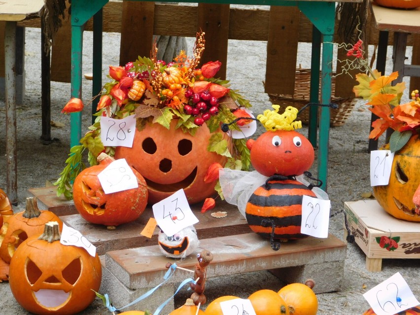 Dynie na Halloween w przedszkolu w Szczawnie-Zdroju