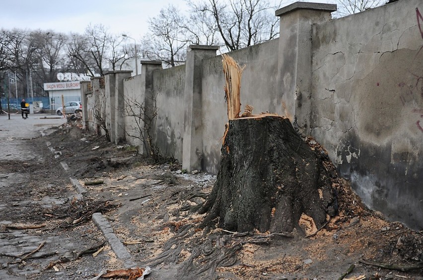 Trwa porządkowanie Wolnych Torów w Poznaniu [ZDJĘCIA]