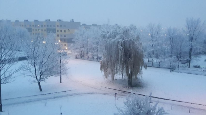 Zima może być piękna! Zobaczcie zdjęcia naszych Czytelników z Żor - GALERIA