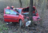 Wypadek na trasie Ostrożany - Grodzisk. Renault wbiło się w drzewo (zdjęcia) 