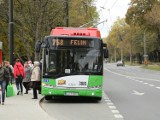 Przebudowa trakcji trolejbusowej na ul. Filaretów: Procedury dłuższe od drutów