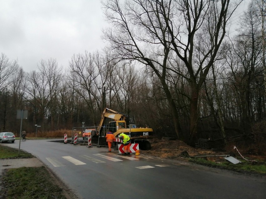 Przebudowa Spółdzielczej i Staszica w Zduńskiej Woli. Drzewa...