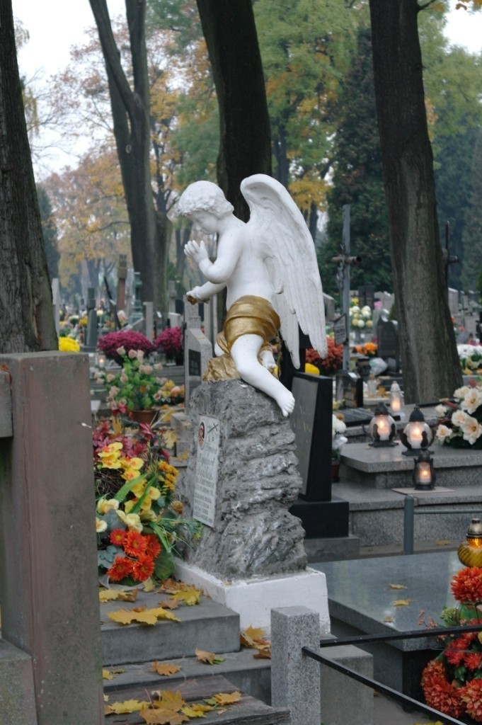 Zamojski cmentarz przed Świętem Zmarłych (fotogaleria)