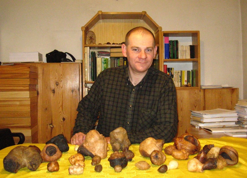 Czesław Greń z kolekcją pączków spiacych