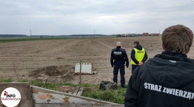 Gmina Nowe Skalmierzyce. 32-latek ze Śliwnik otrzymał karę 10 miesięcy więzienia za znęcanie się nad zwierzętami