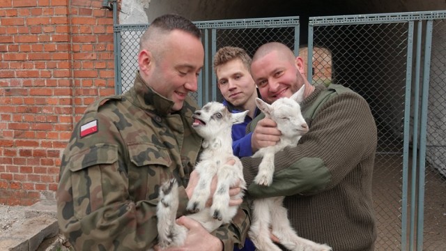 Obiektem opiekuje się stowarzyszenie Harmonia w Chaosie i wolontariusze.