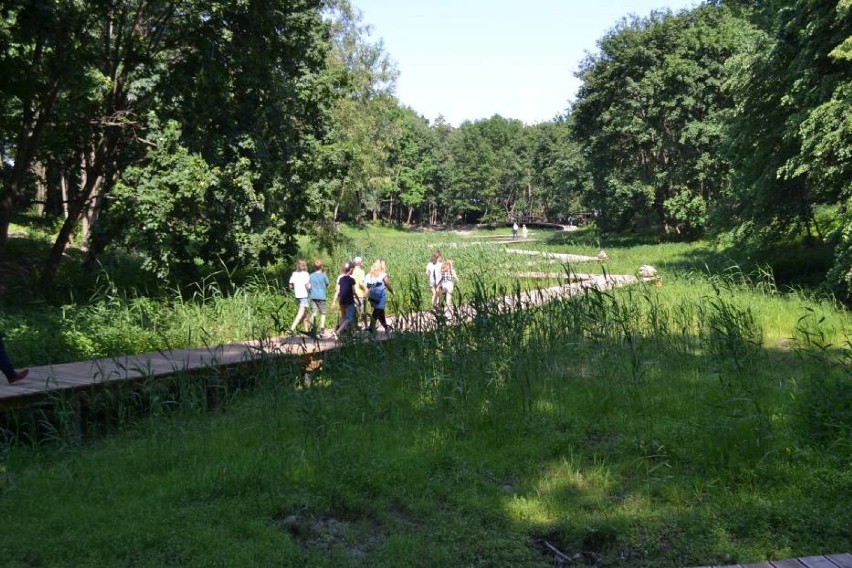 Majówkowy spacer. Park w Wojanowie i jego urokliwe zakątki na zdjęciach