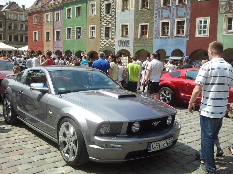 Mustangi na Starym Rynku w Poznaniu
