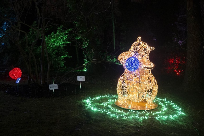 Świąteczna iluminacja, Ogród Botaniczny UW. Ponad 30 instalacji roślin i zwierząt rozświetli stolicę. Kiedy otwarcie wystawy?