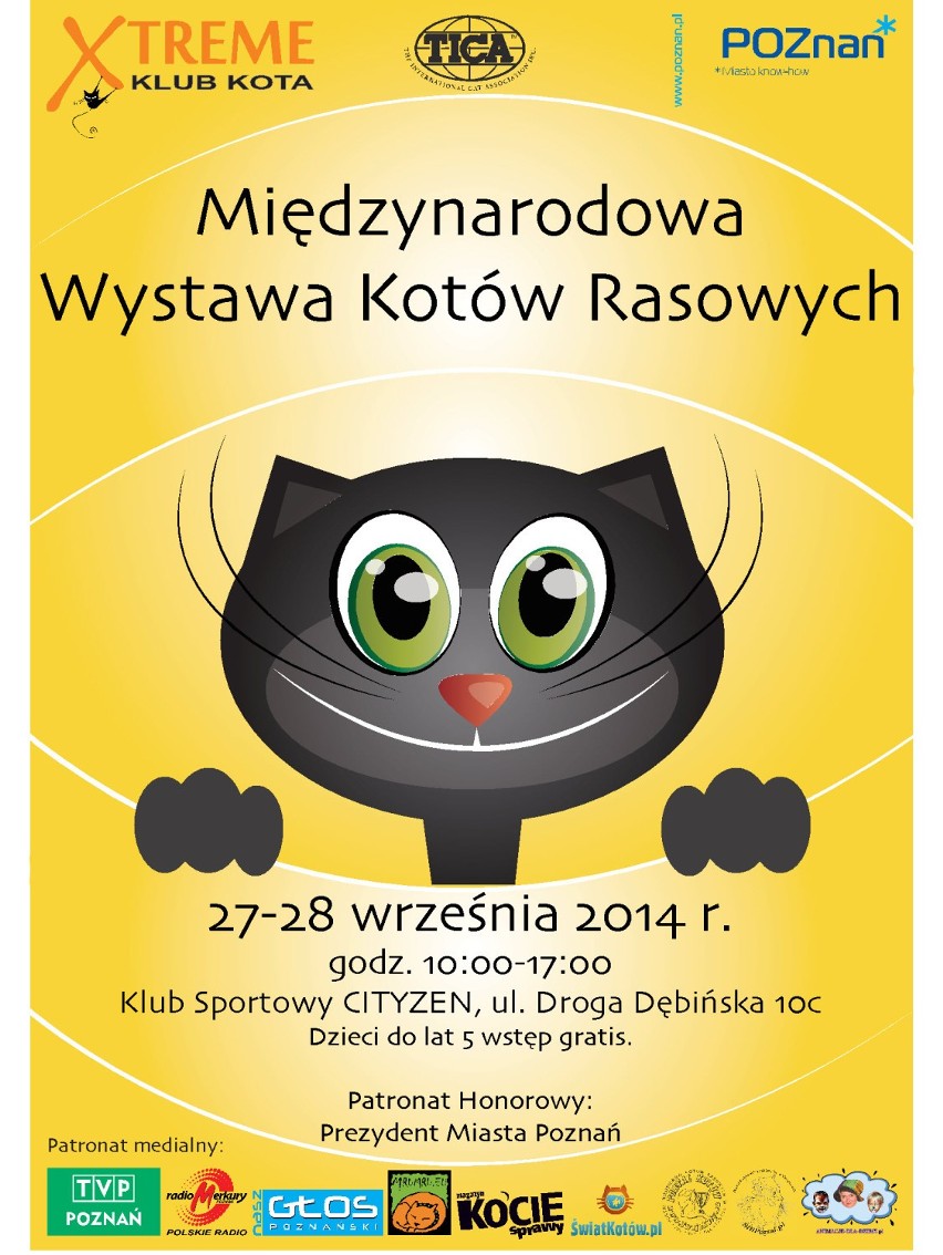 Międzynarodowa Wystawa Kotów Rasowych znów w Poznaniu