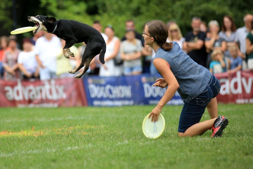 Zawody latających psów w Sopocie. Psie sztafety, frisbee i skoki do wody [ZDJĘCIA]