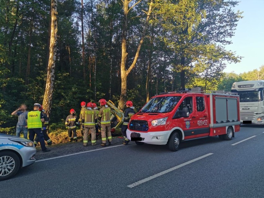 Powiat bełchatowski. Samochód uderzył w drzewo. Kierowca był pijany