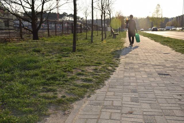 Ulica Prosta w Zielona Góra - zarośnięte chodniki. Mieszkańcy proszą o ich oczyszczenie.