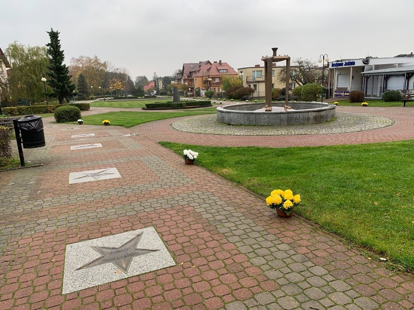 Gmina Władysławowo: miasto całe w chryzantemach