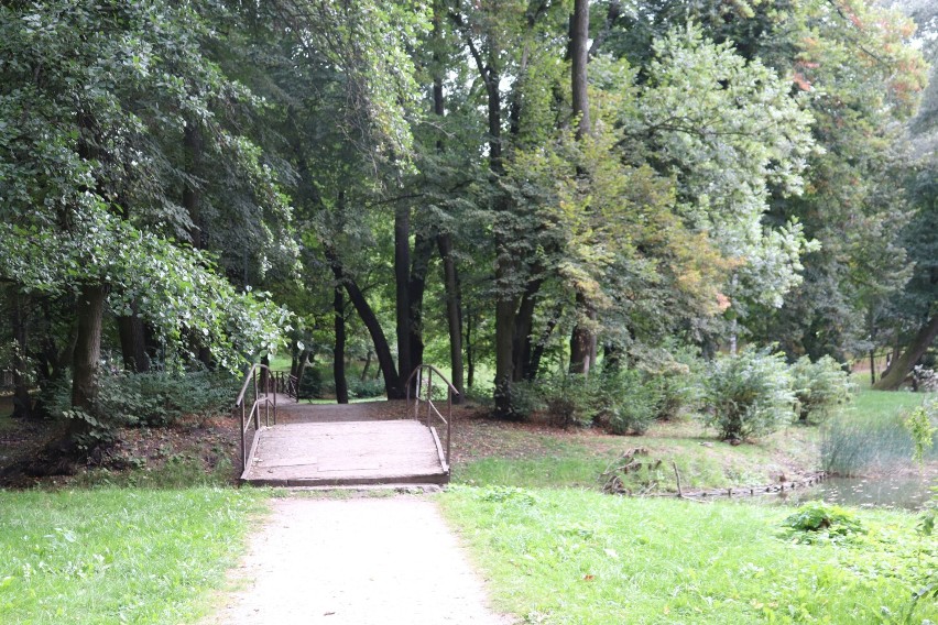 Park Miejski w Gnieźnie. Nadchodząca jesień na terenach...