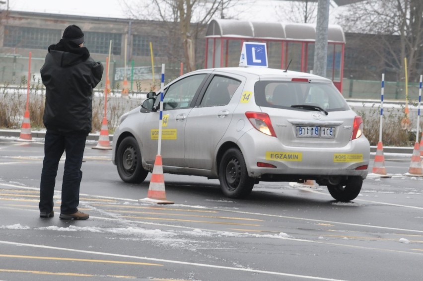 Koronawirus w Lubuskiem. Już od wtorku będą wstrzymane egzaminy na prawo jazdy w dwóch Wojewódzkich Ośrodkach Ruchu Drogowego w regionie