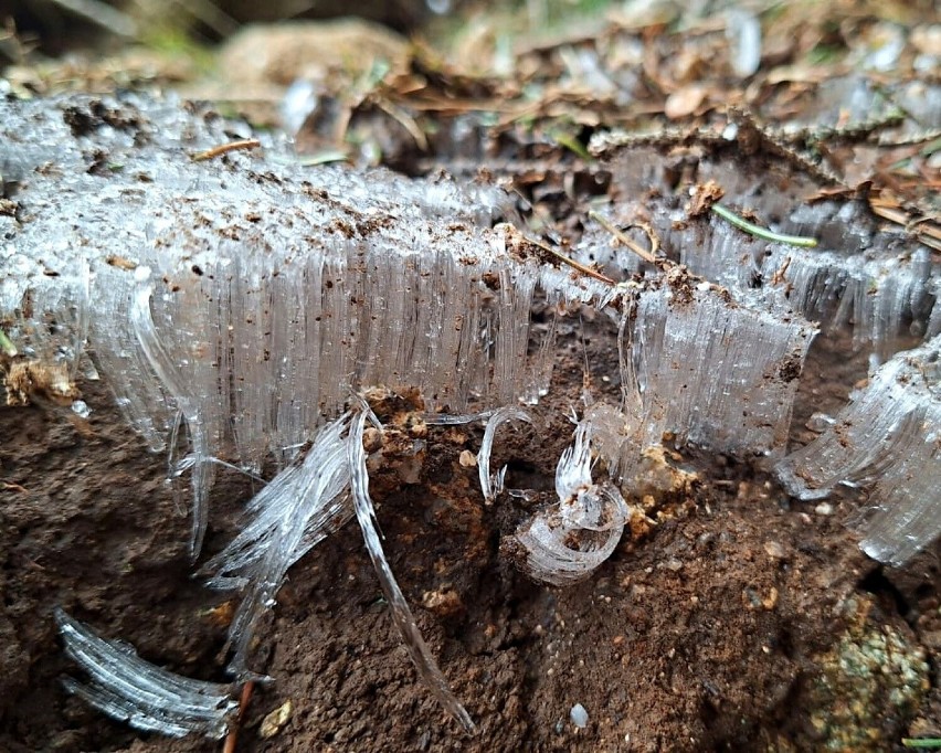 Lód włóknisty w Tatrach