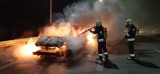 Gmina Cedry Wielkie: Pożar samochodu na drodze s7 [ZDJĘCIA]
