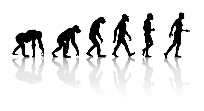 12 lutego obchodzony jest Światowy Dzień Darwina.