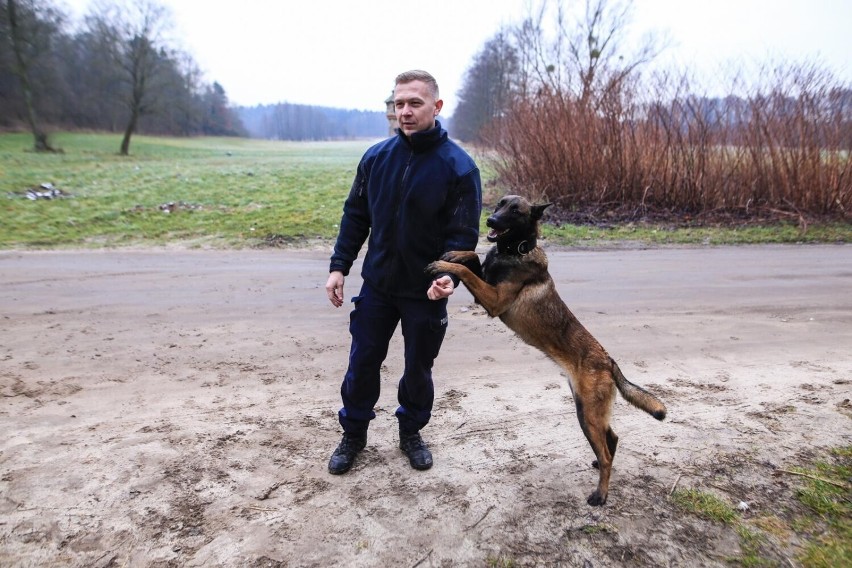 Mateusz Kowalczyk - instruktor szkolenia psow policyjnych NZ...