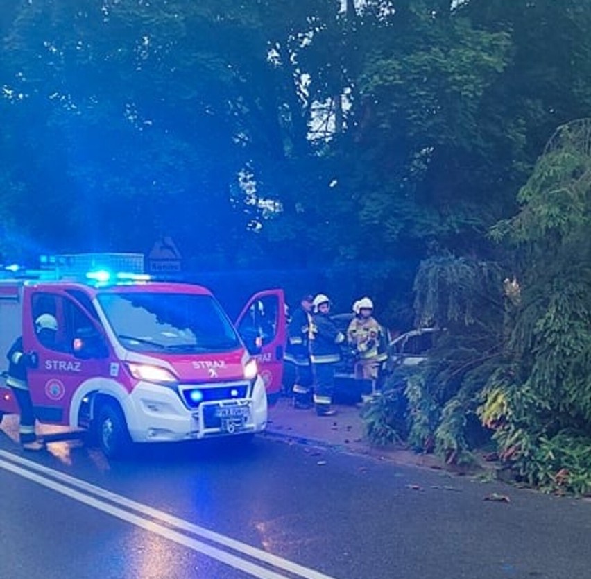 Wypadek na trasie 196 w Skokach. Samochód osobowy wypadł z drogi i uderzył w drzewo