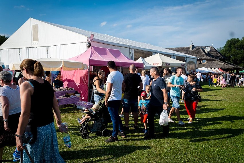 Mieszkańcy regionu bawią się na Festiwalu Sera w Dziećmorowicach (ZDJĘCIA)