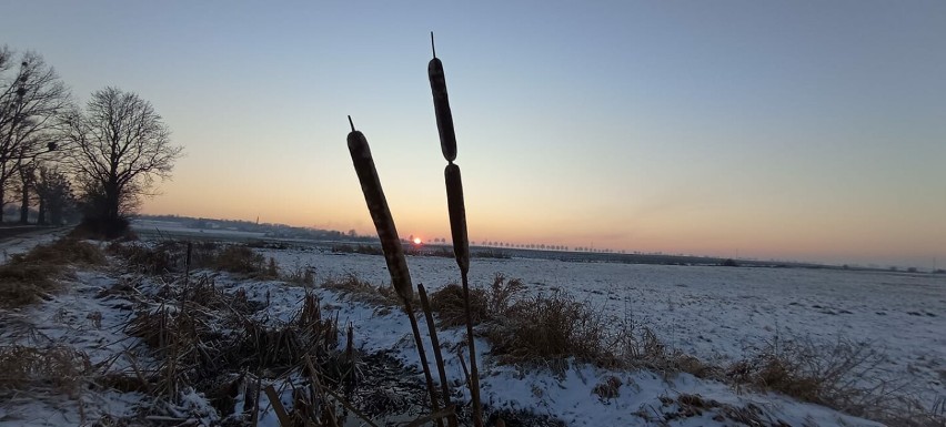 Zdjęcia miesiąca lutego! Powiat Szamotulski ponownie wyłonił zwycięzców najpiękniejszych fotografii