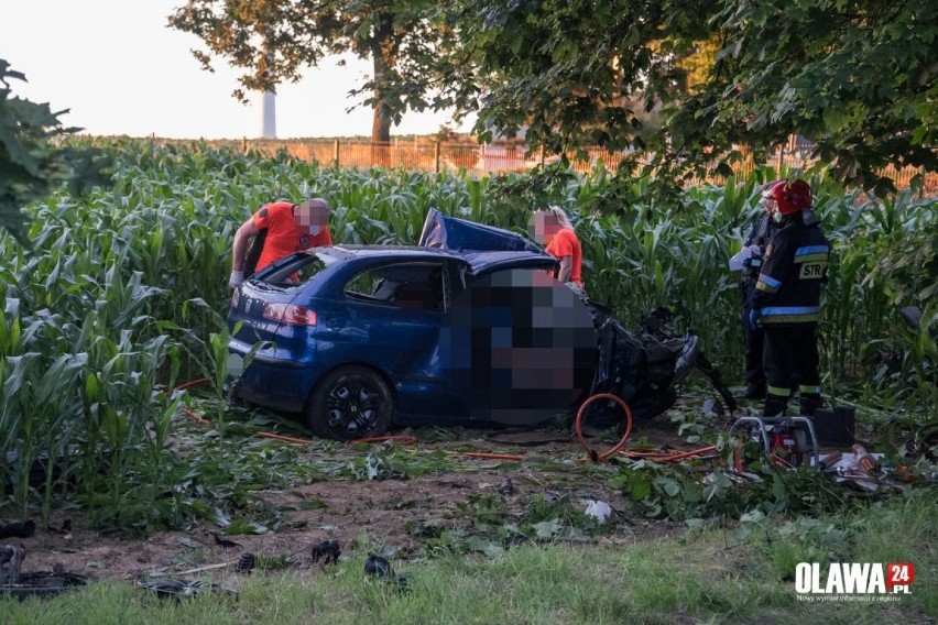 Tragedia na drodze pod Wrocławiem. Zginęły dwie młode osoby. Ich samochód uderzył w drzewo (ZOBACZ ZDJĘCIA)