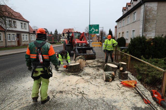 Zabieg przebiegł szybko i bez problemów