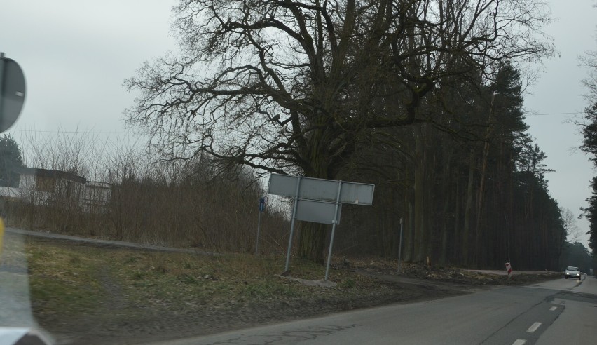 Przebudowa drogi z Tomaszowa Mazowieckiego nad Zalew Sulejowski. Zobaczcie postępy prac [ZDJĘCIA]