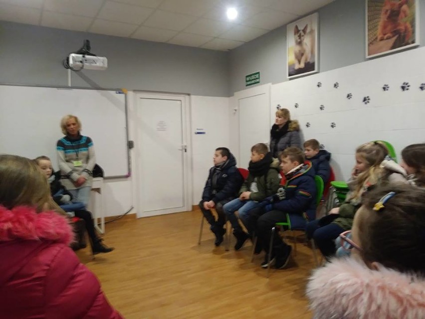 Uczniowie z SP 3 odwiedzili schronisko dla zwierząt we Włocławku [zdjęcia, wideo]