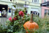 Zielona Góra. W mieście pojawiły się dynie, a wśród mieszkańców pytania... Jakie? 