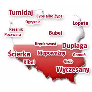 Kilka nietypowych nazwisk spotykanych w różnych częściach Polski.