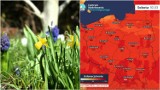 Pogoda na Wielkanoc 2024 w Tarnowie i Małopolsce. Prognozy na święta jak na lato! Padnie rekord wszech czasów temperatury marca? 