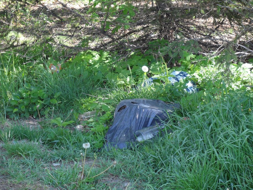 Żory ul. Męczenników Oświęcimskich: teren po byłym szpitalu odstrasza. Jest tu pełno śmieci!