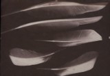 Ślady niewidzialnego – warsztaty XIX-wiecznych technik fotografii