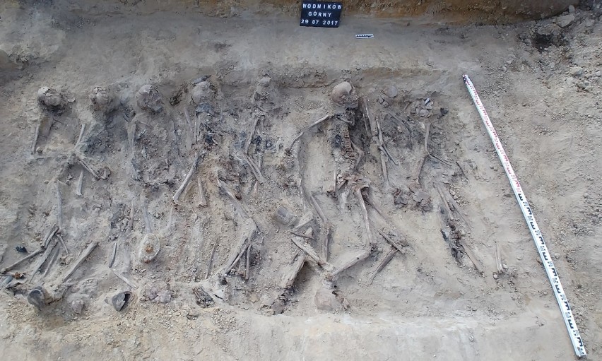 Odkryto masowy grób żołnierzy Wehrmachtu w Wodnikowie Górnym [ZDJĘCIA] 