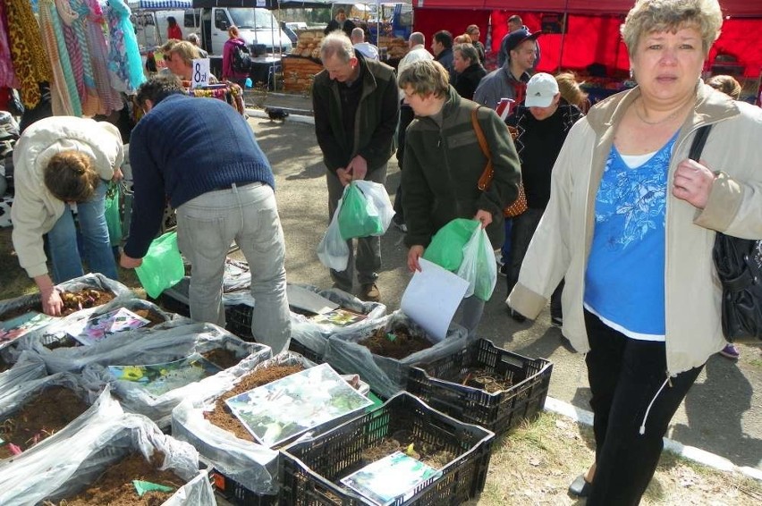 Agro Targi w Starej Łubiance już po raz 22.