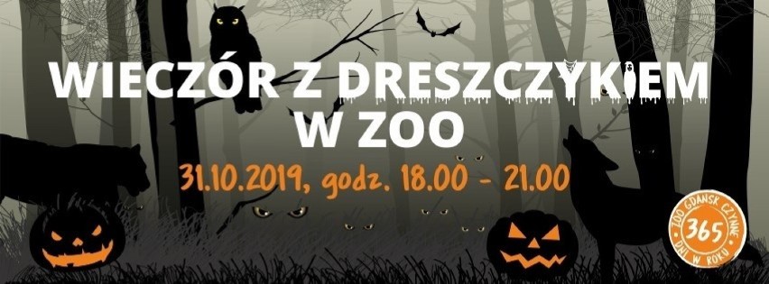 GDAŃSK - „Wieczór z dreszczykiem w Zoo”

31 października...