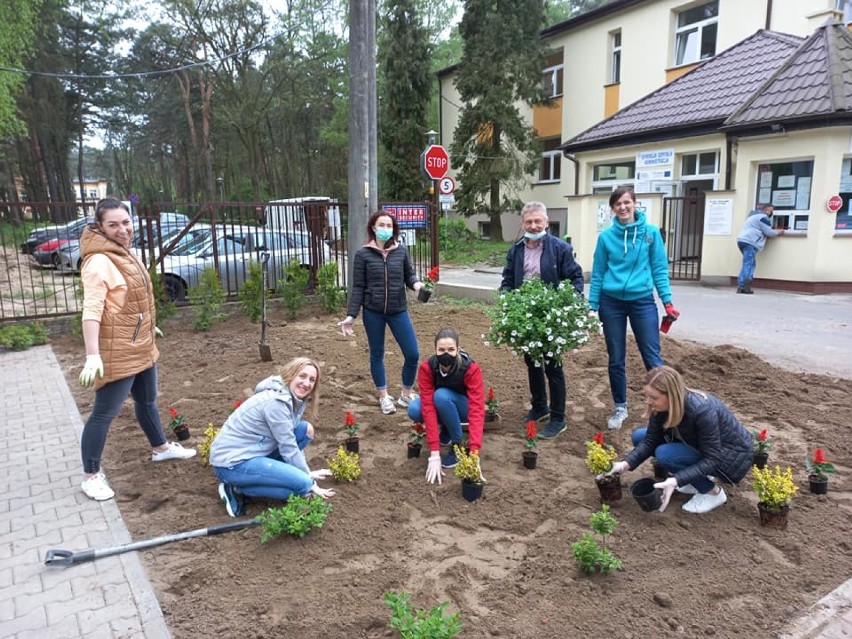 Akcja kwiatek dla medyka. Sadzili drzewa, kwiaty i krzewy przed Punktem Szczepień Powszechnych w Wolicy. ZDJĘCIA