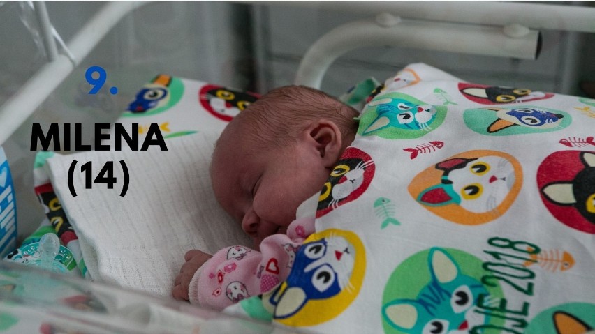 Jakie imiona wybierają dla córek mieszkańcy Jasła i okolic? Przedstawiamy TOP 10 najpopularniejszych
