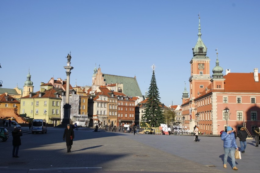 Choinka na Placu Zamkowym już stoi. Wkrótce zostanie...