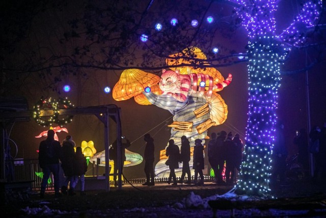 Od piątku będziecie się mogli poczuć jak w magicznej krainie czarów. Wszystko za sprawą świetlnej instalacji, która powstała w Ogrodzie Botanicznym w Powsinie. Co dokładnie czeka na tych, którzy zdecydują się uciec z Piotrusiem Panem do świata Nibylandii? Niemal 30 instalacji świetlnych oraz wiele unikatowych atrakcji multimedialnych takich jak np. choinka multimedialna stworzona z 40 000 świateł LED, a także pokazy laserowe wraz z pełną oprawą dźwiękową oraz video-mappingi.

KIEDY: 5-7 listopada, godz. 16-21
GDZIE: Ogród Botaniczny w Powsinie