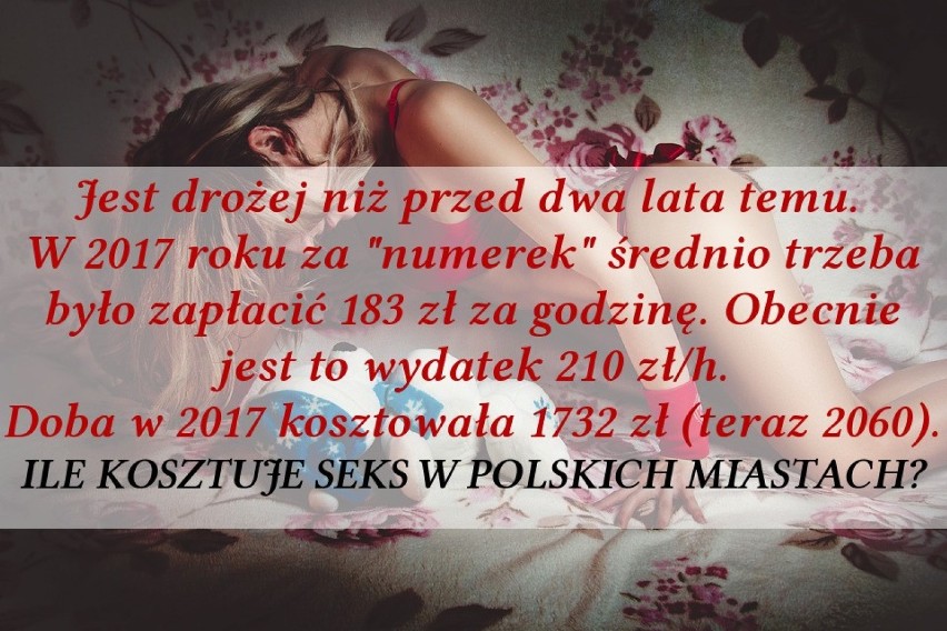 Tyle kosztuje seks w Polsce. Zobacz raport firmy Sedlak&Sedlak